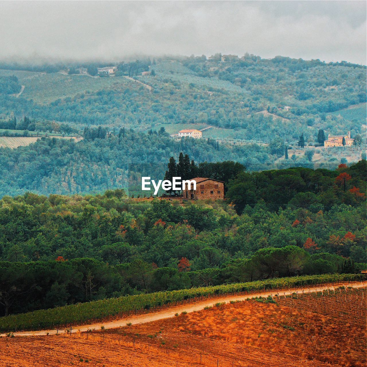 AERIAL VIEW OF A HOUSE