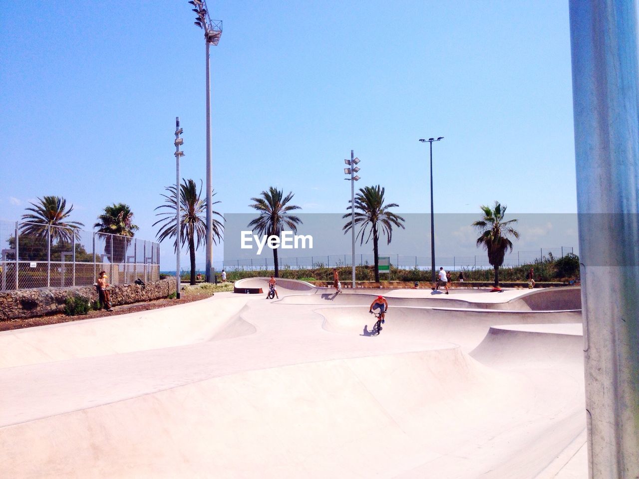 Men cycling on pathway against palm trees and clear sky