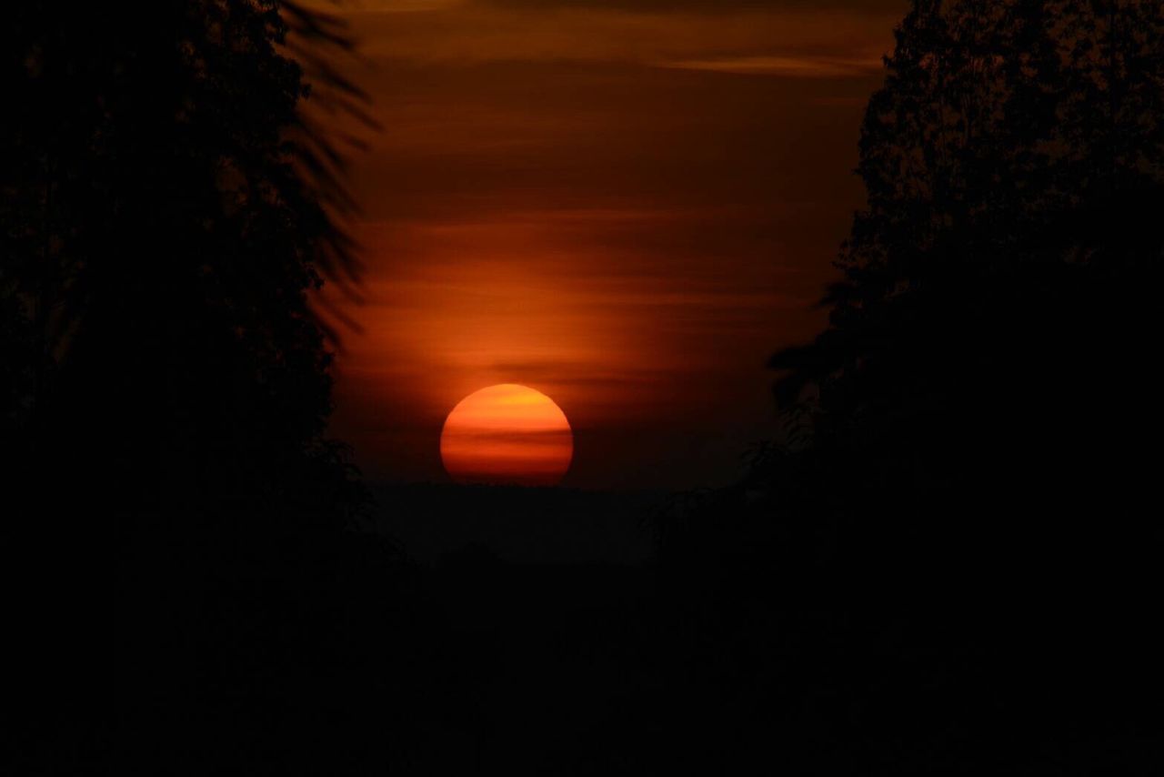 SILHOUETTE TREE AGAINST ORANGE SKY