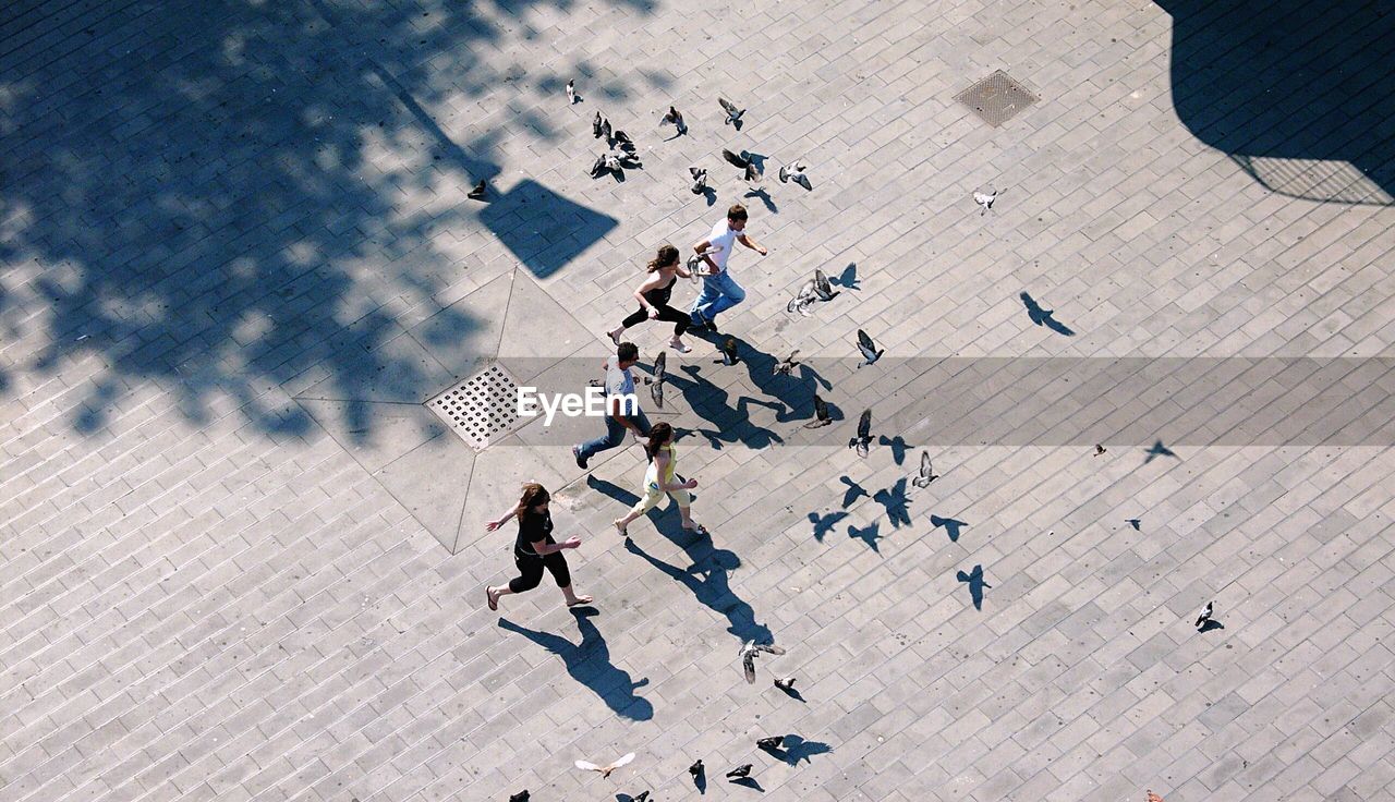 high angle view, shadow, large group of people, people, walking, day, togetherness, full length, strategy, boys, motion, directly above, sunlight, teamwork, group of people, aerial view, outdoors, real people, exercising, ice rink, men, playing, adult, crowd, city, sports team, friendship, only men