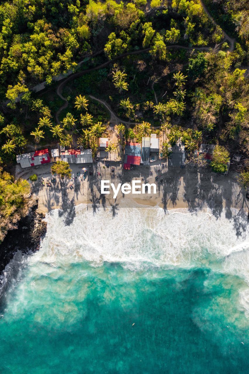 Aerial photo of jungle by beach