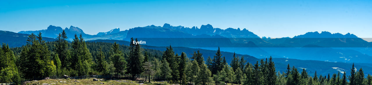 Panoramic view of trees on landscape against clear blue sky