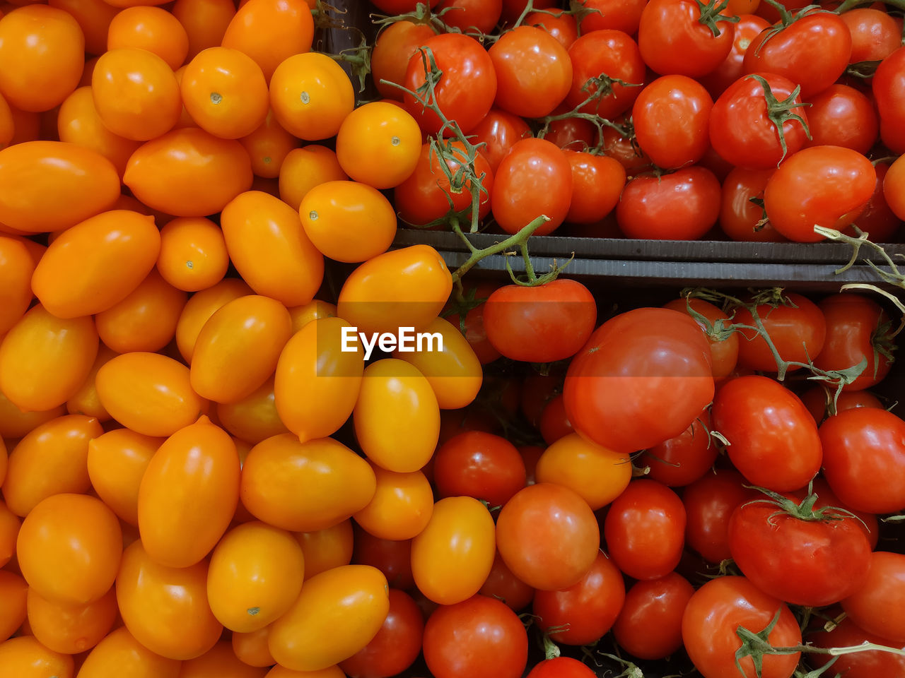Full frame shot of tomatoes