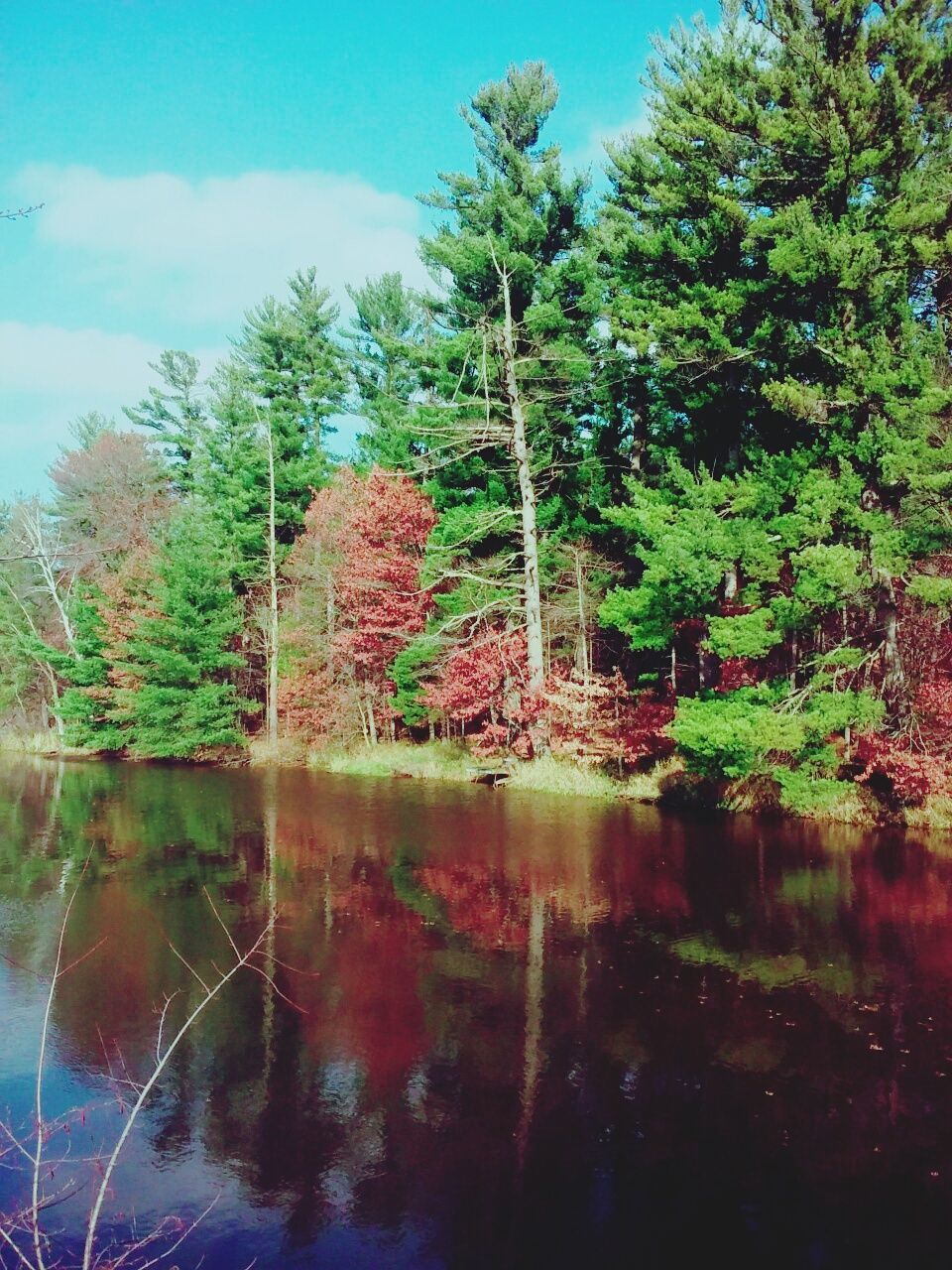 Reflection of trees in lake during autumn on sunny day