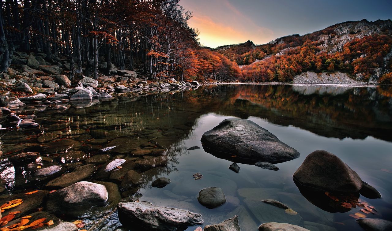 Trees reflecting on calm lake at forest during autumn 