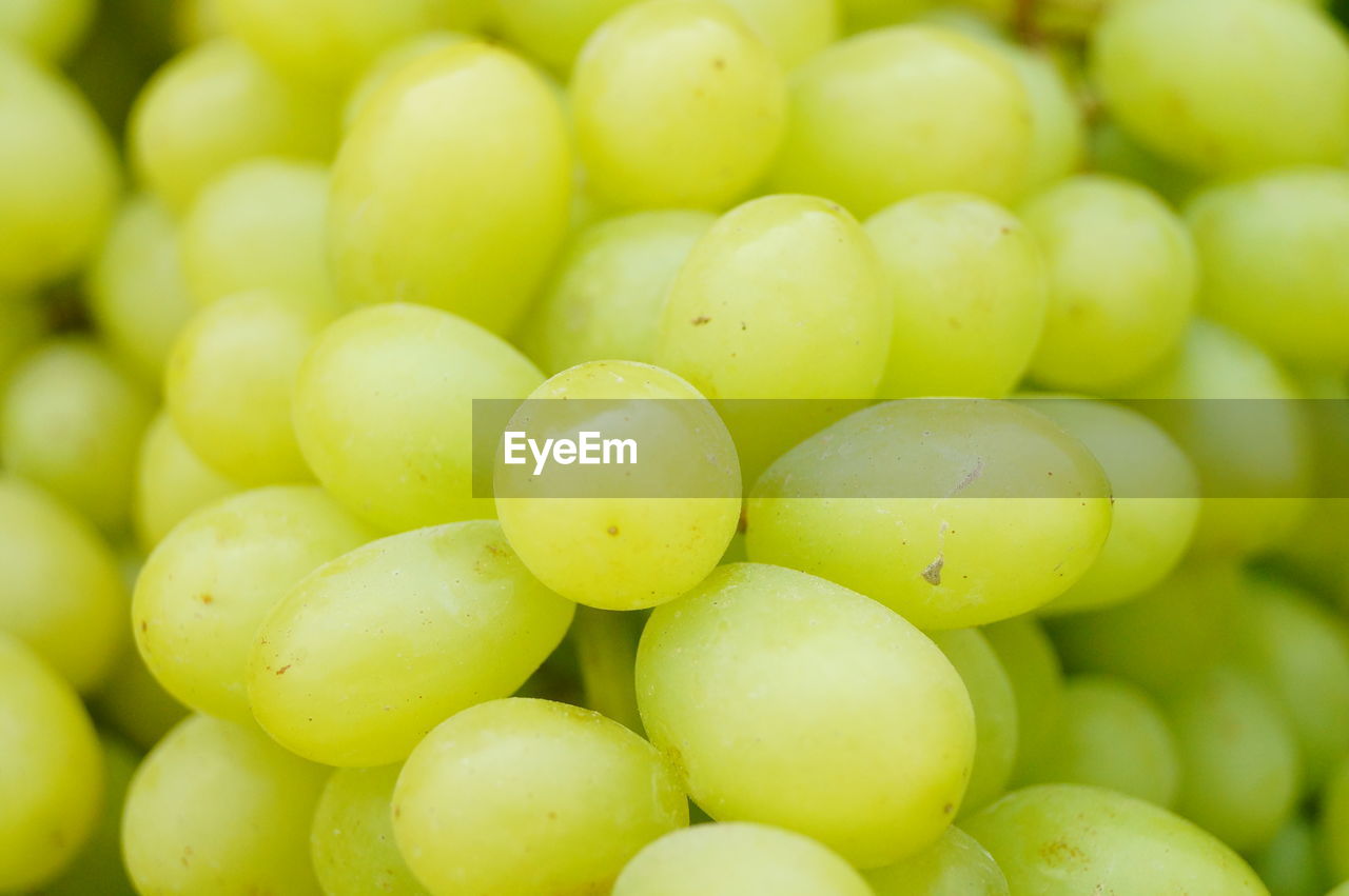 FULL FRAME SHOT OF GRAPES IN GREEN BACKGROUND