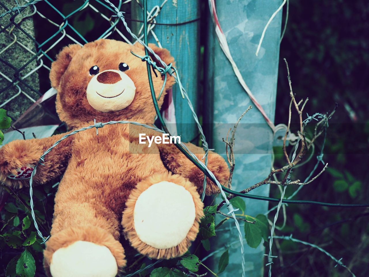 Close-up of teddy bear on fence