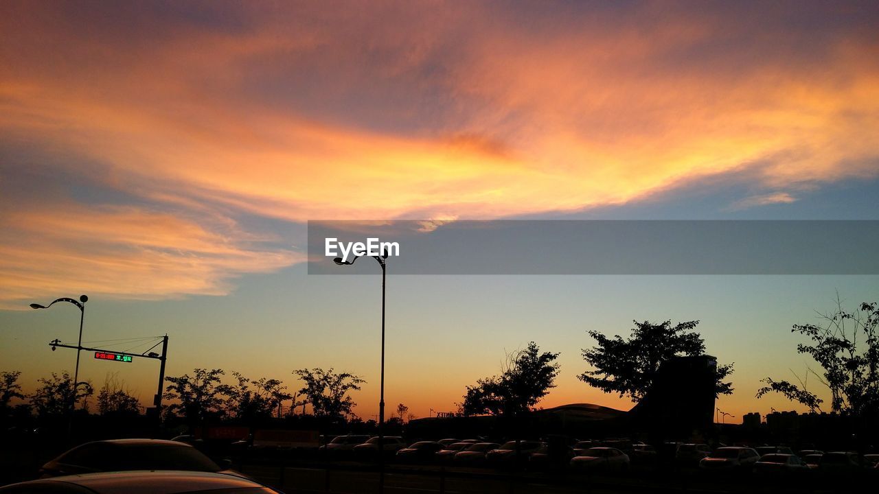 SILHOUETTE OF TREES AT SUNSET