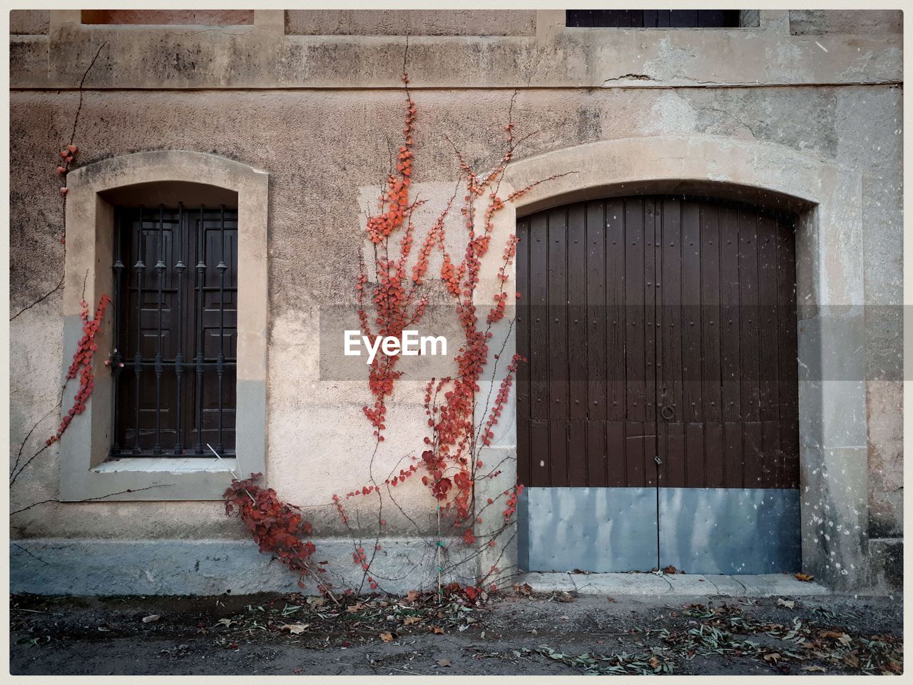 RED DOOR OF WINDOW