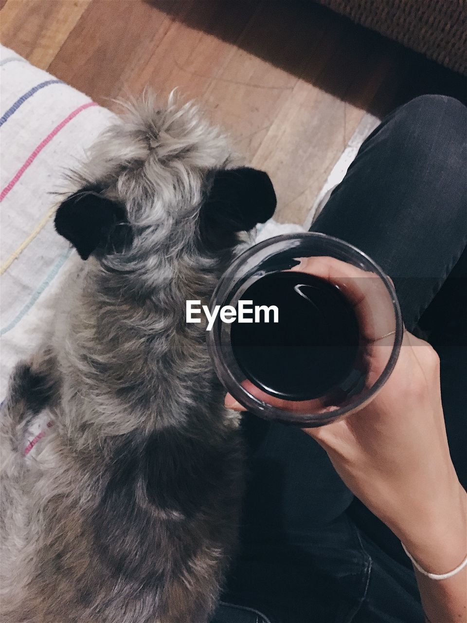 Cropped image of woman holding drink by dog at home