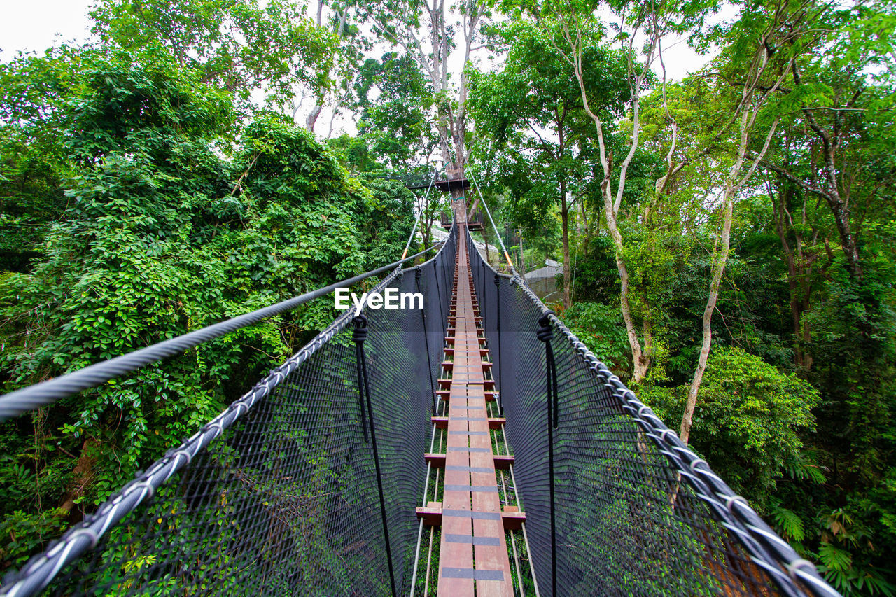 Doi tung tree top walk, chiangrai, thailand