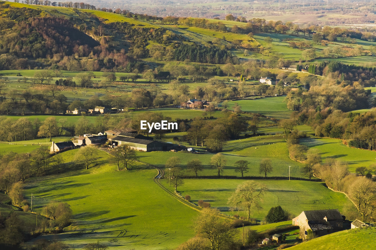 Scenic view of agricultural field