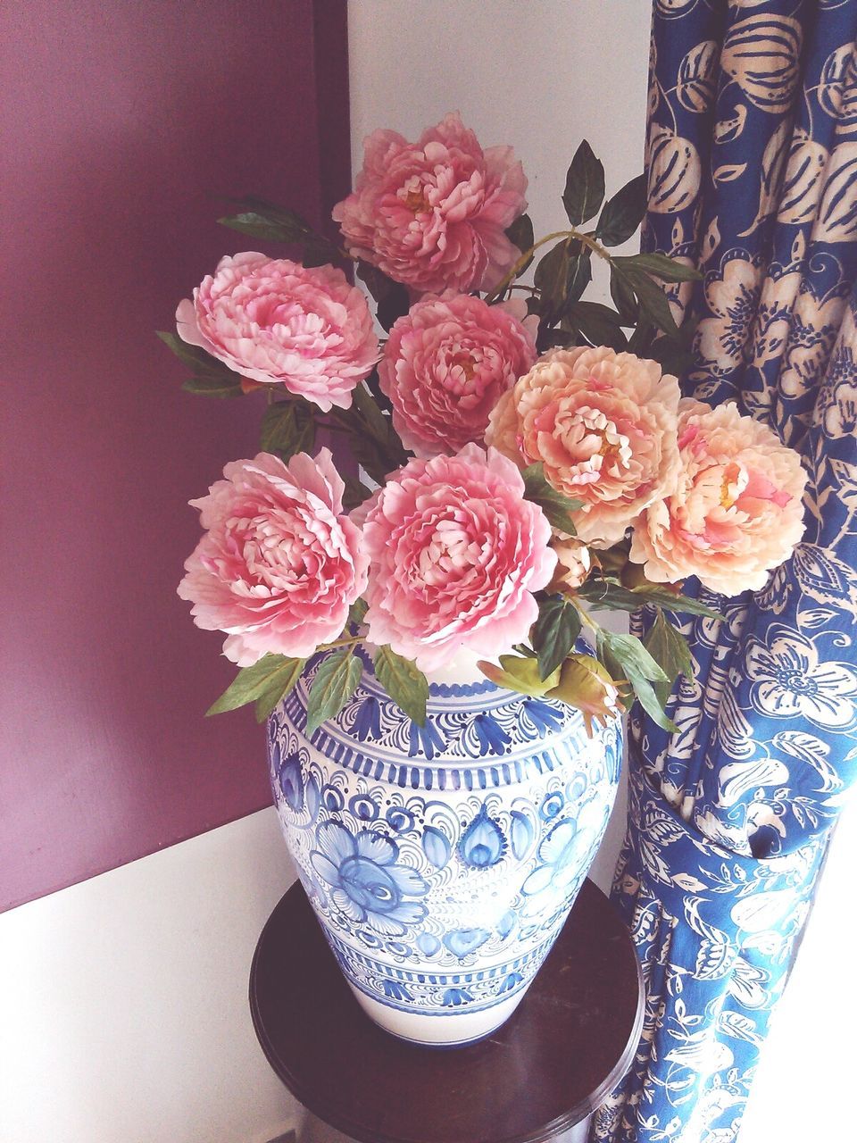 CLOSE-UP OF PINK ROSES