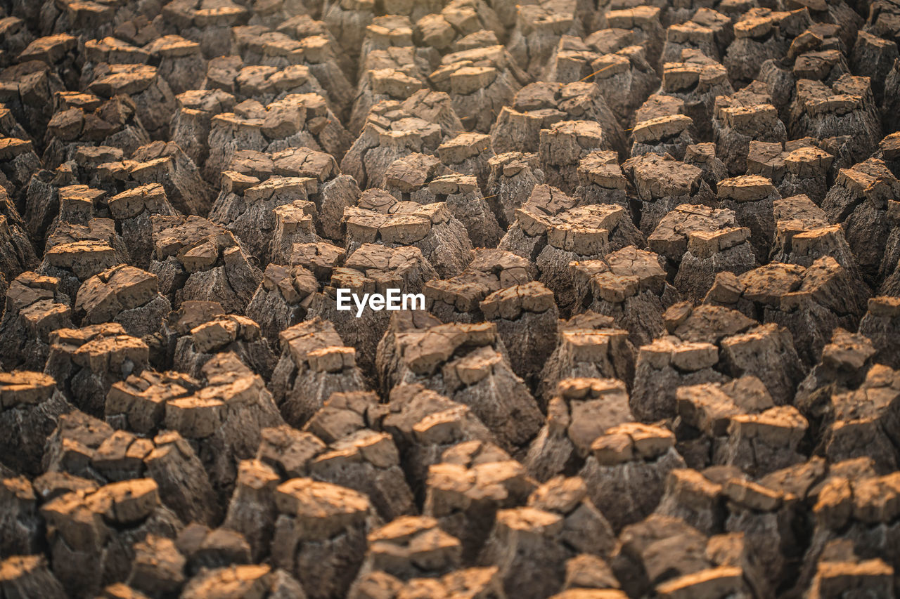 FULL FRAME SHOT OF ROASTED COFFEE