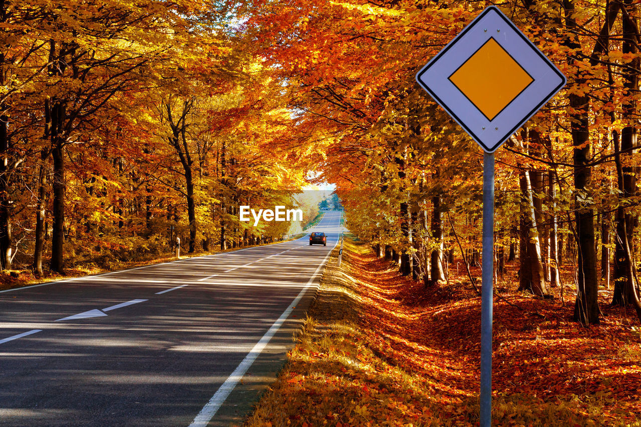 ROAD SIGN BY TREES DURING AUTUMN