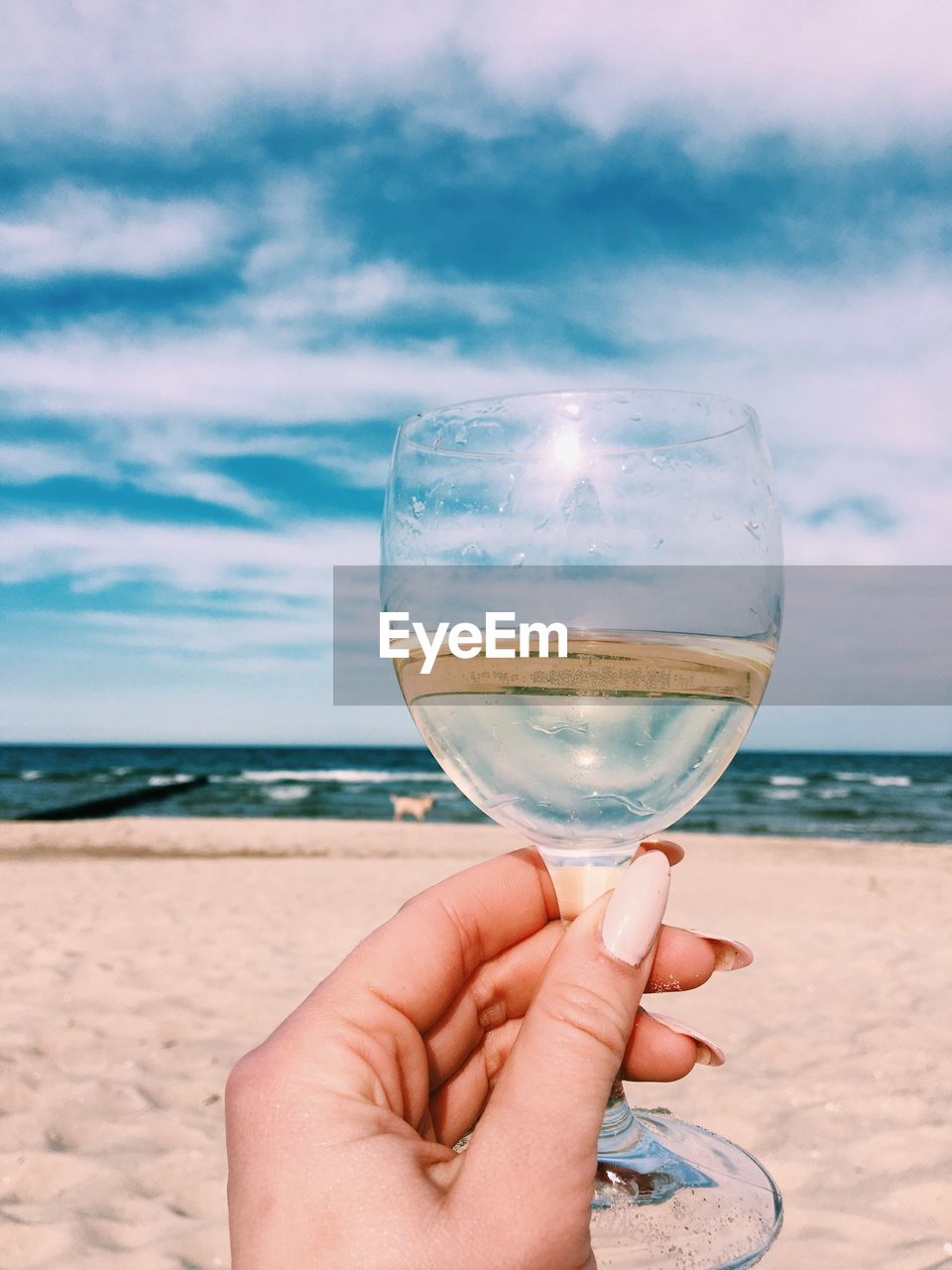 Cropped image of woman holding wineglass at beach against sky