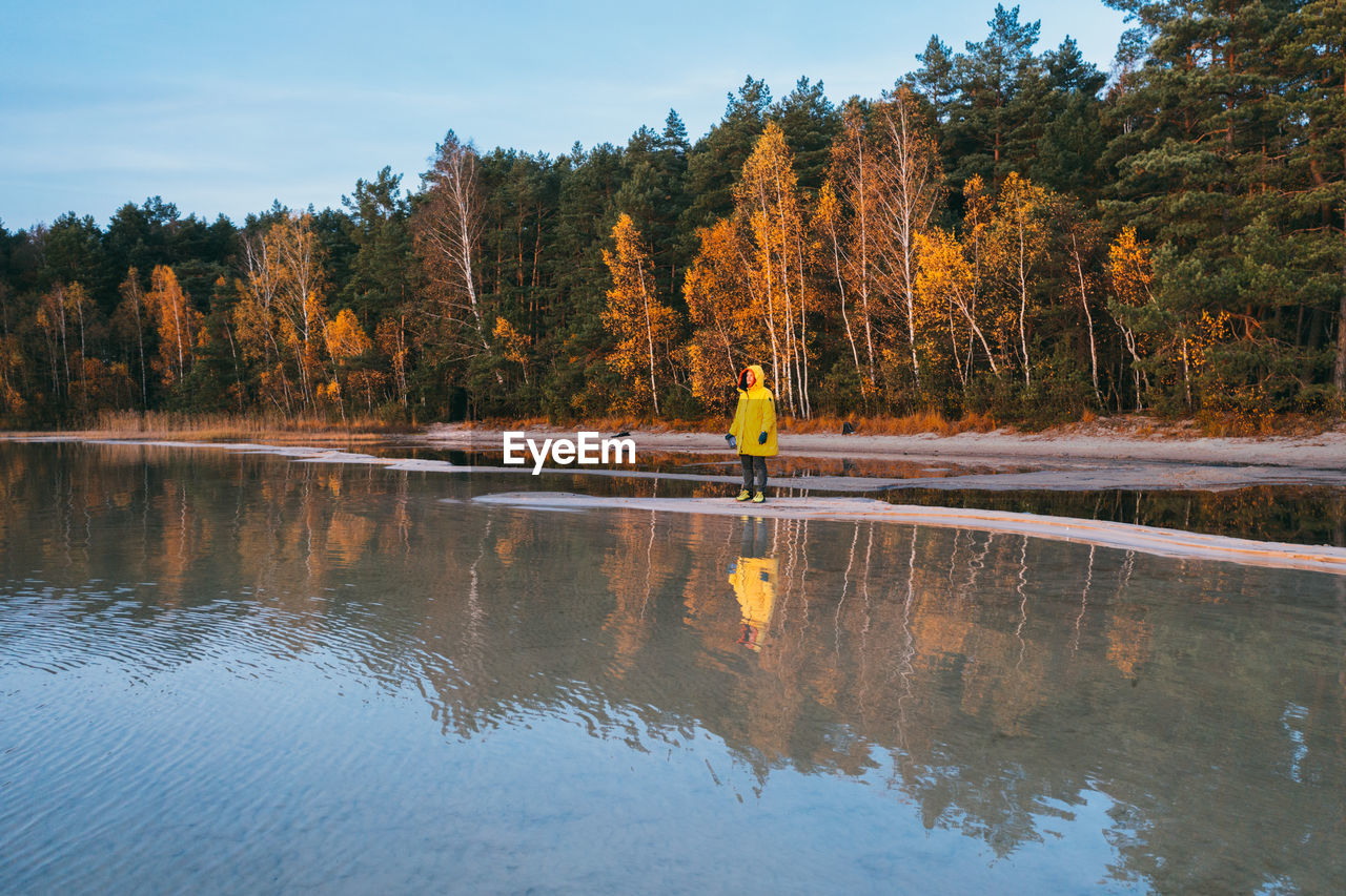 Reflection of trees in lake against sky