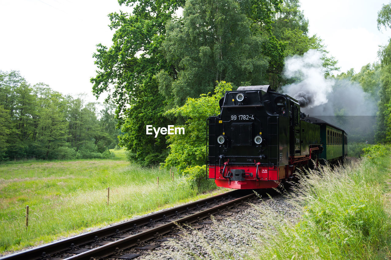 TRAIN ON RAILROAD TRACK AMIDST TREES