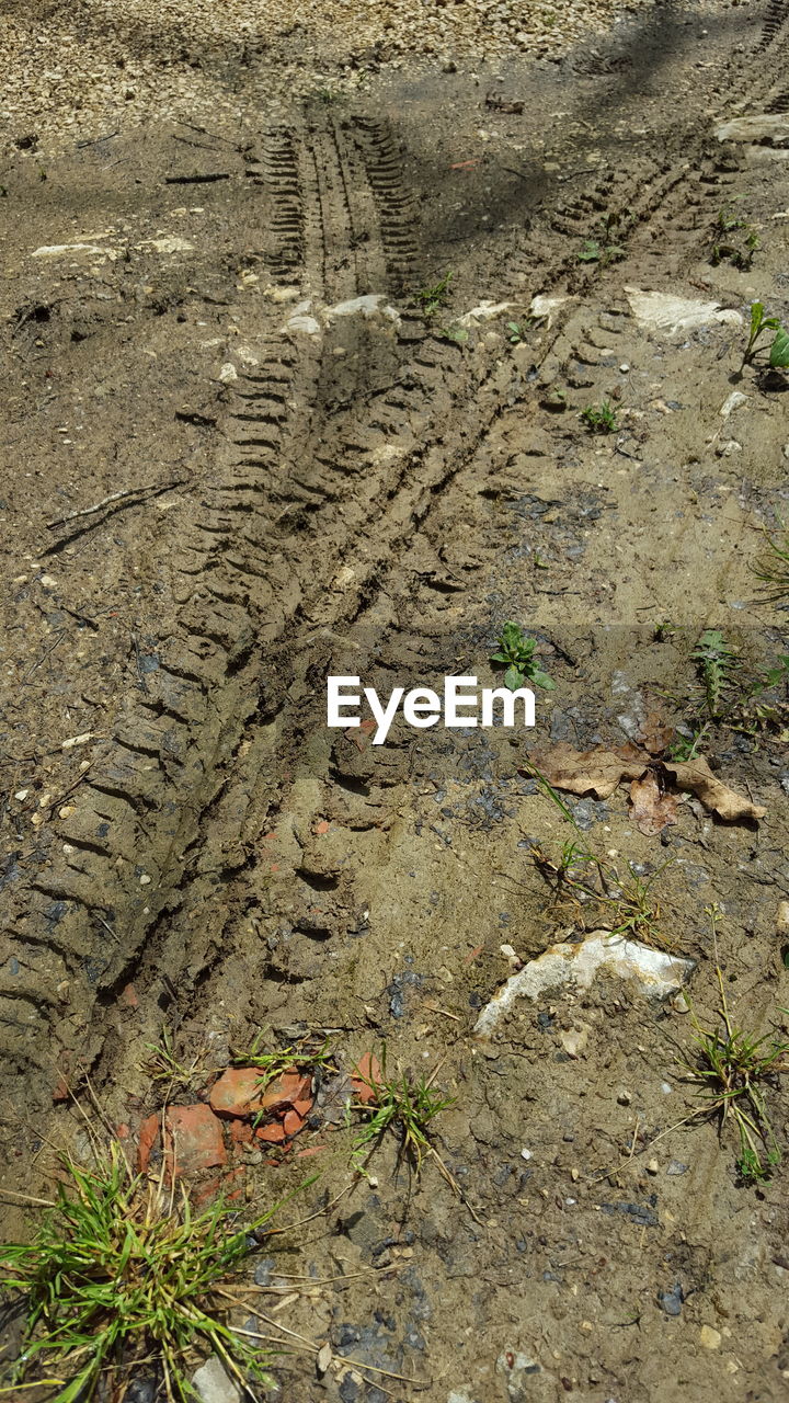 High angle view of tire tracks on field