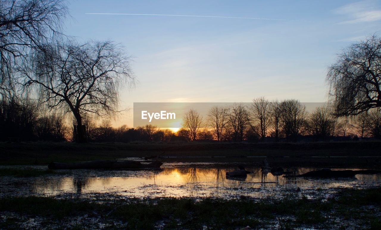 SCENIC VIEW OF SILHOUETTE TREES AGAINST SKY