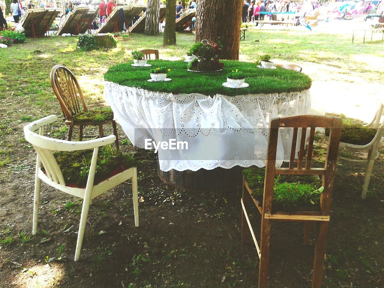 High angle view of grass growing on table and chairs at park