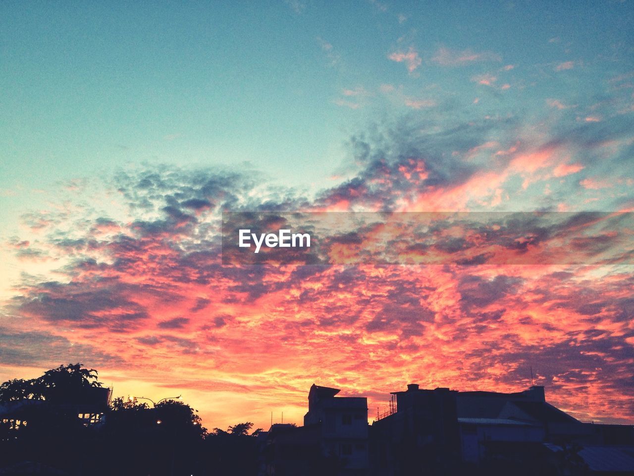 LOW ANGLE VIEW OF SILHOUETTE TREES AGAINST SUNSET SKY