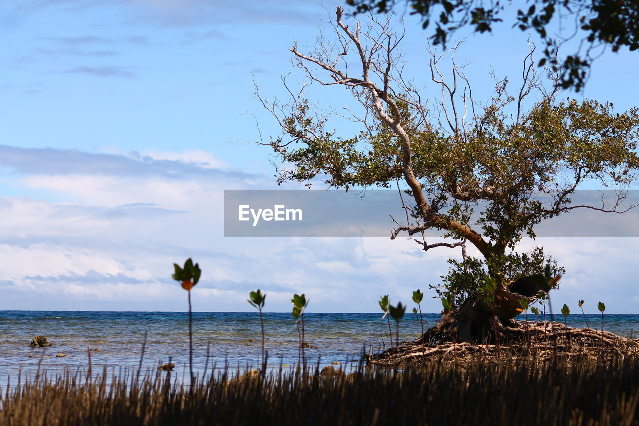 Scenic view of calm sea against cloudy sky