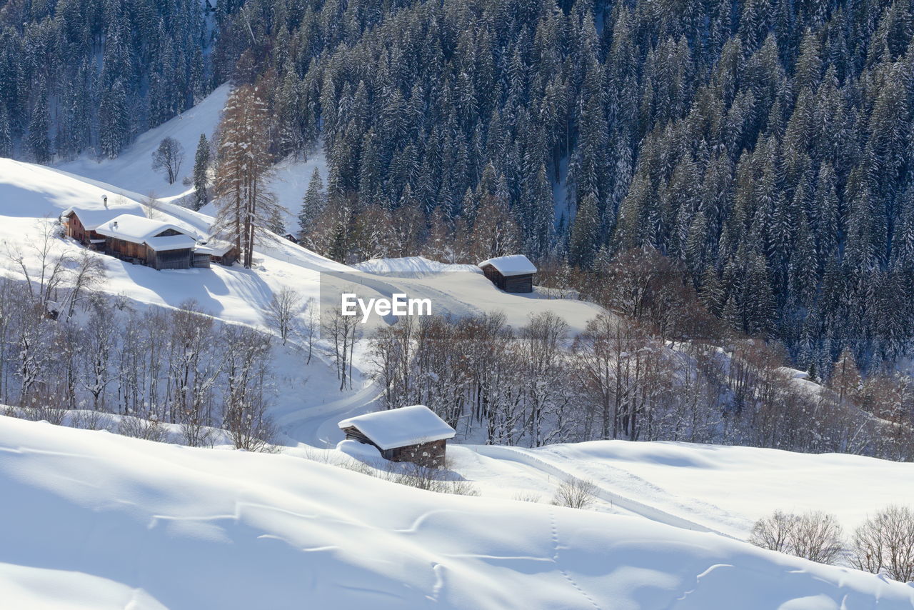SNOW COVERED LANDSCAPE AND MOUNTAIN