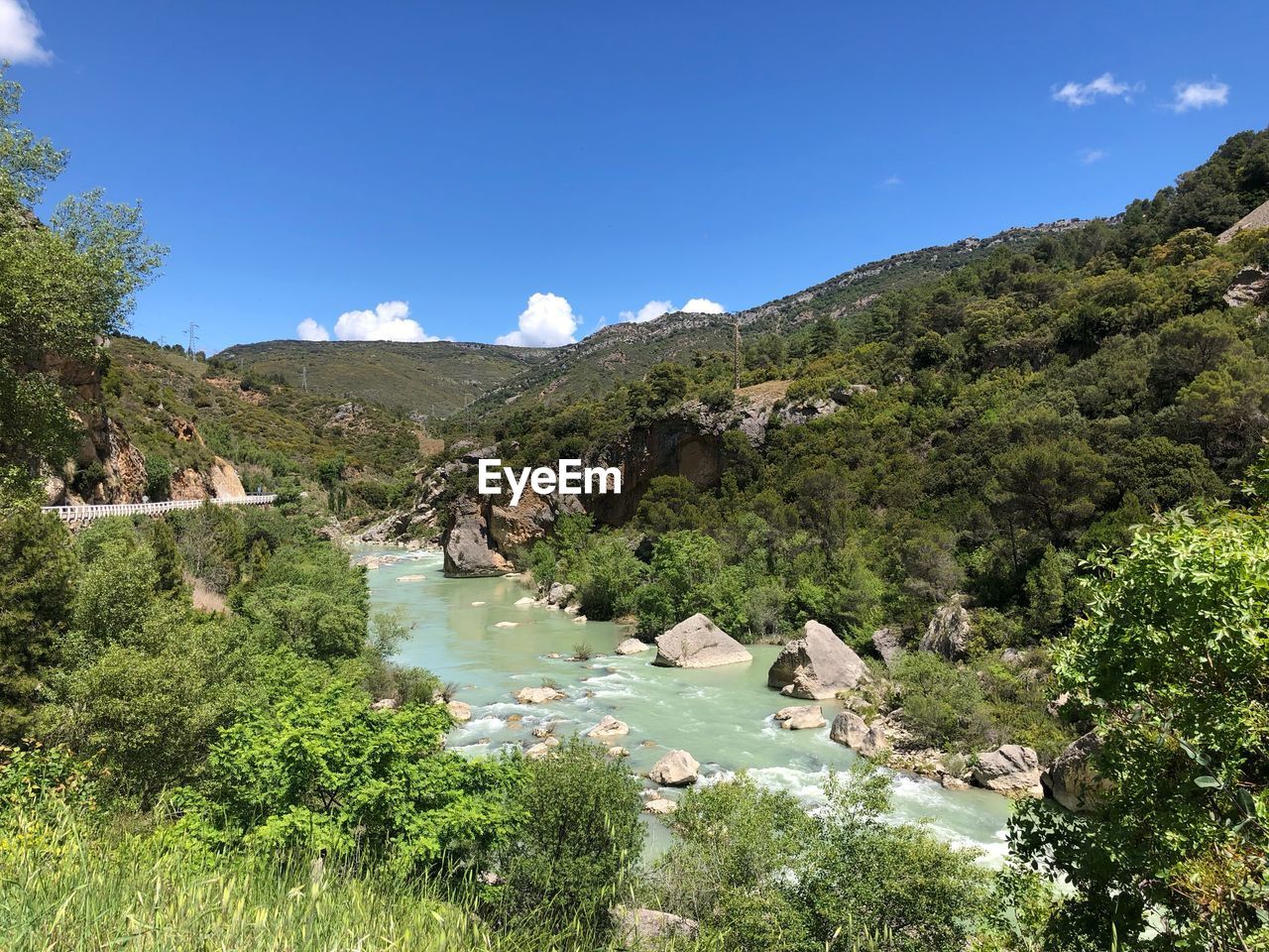 SCENIC VIEW OF RIVER BY TREES AGAINST SKY