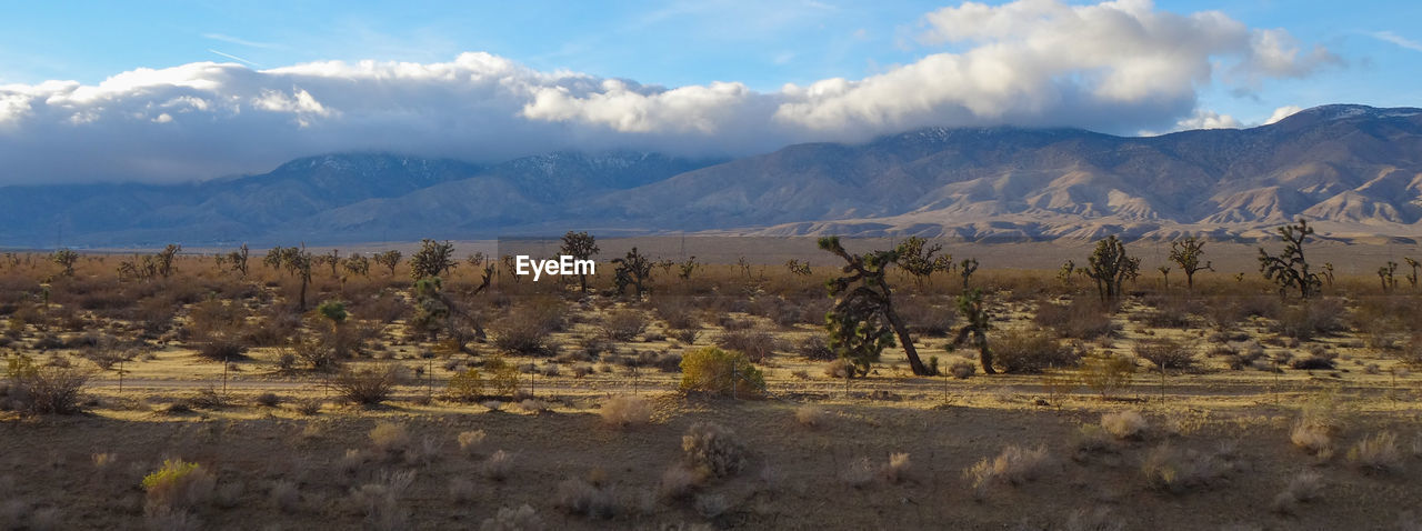 Scenic view of  california desert against sky