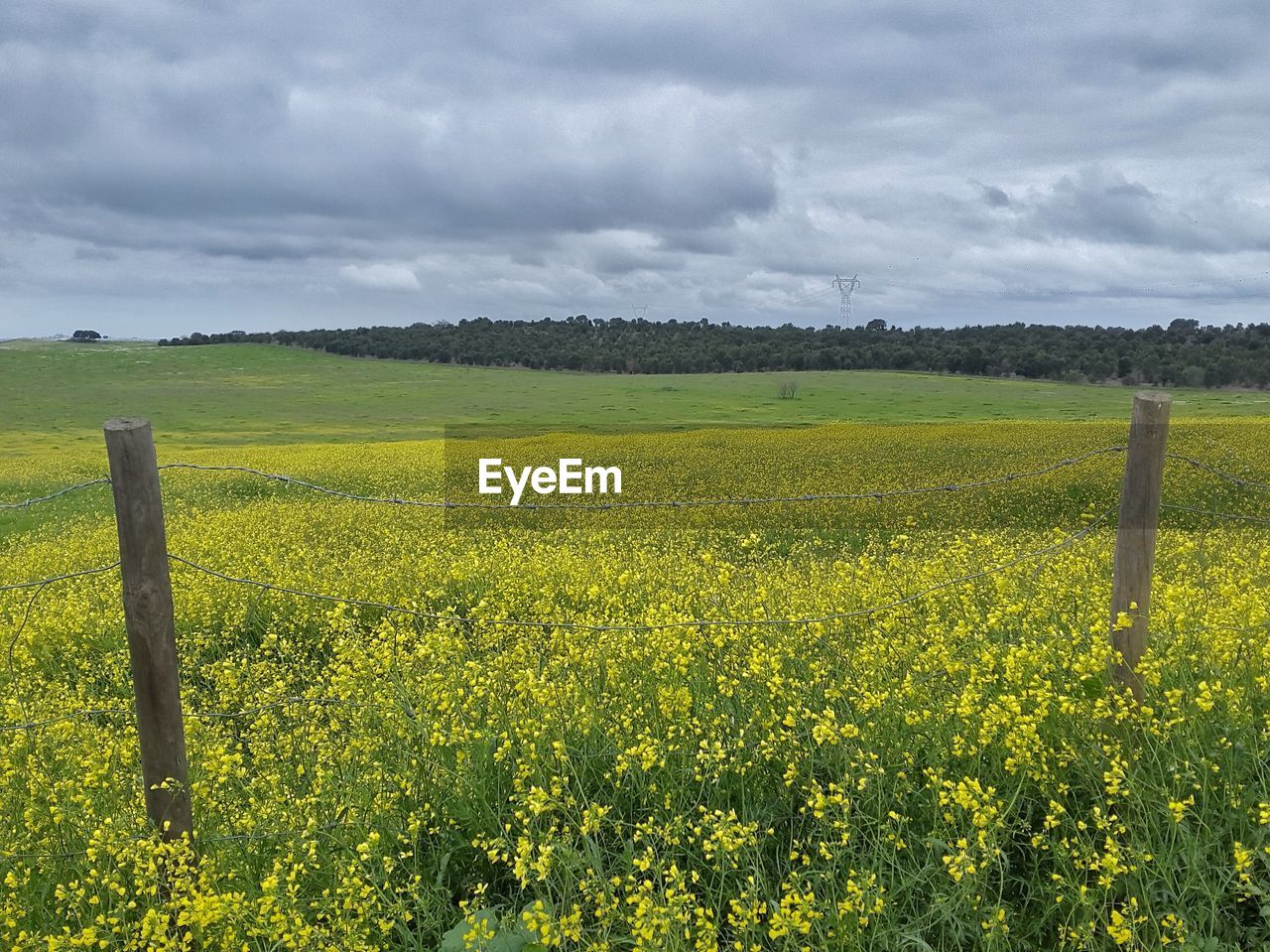 FIELD AGAINST CLOUDY SKY