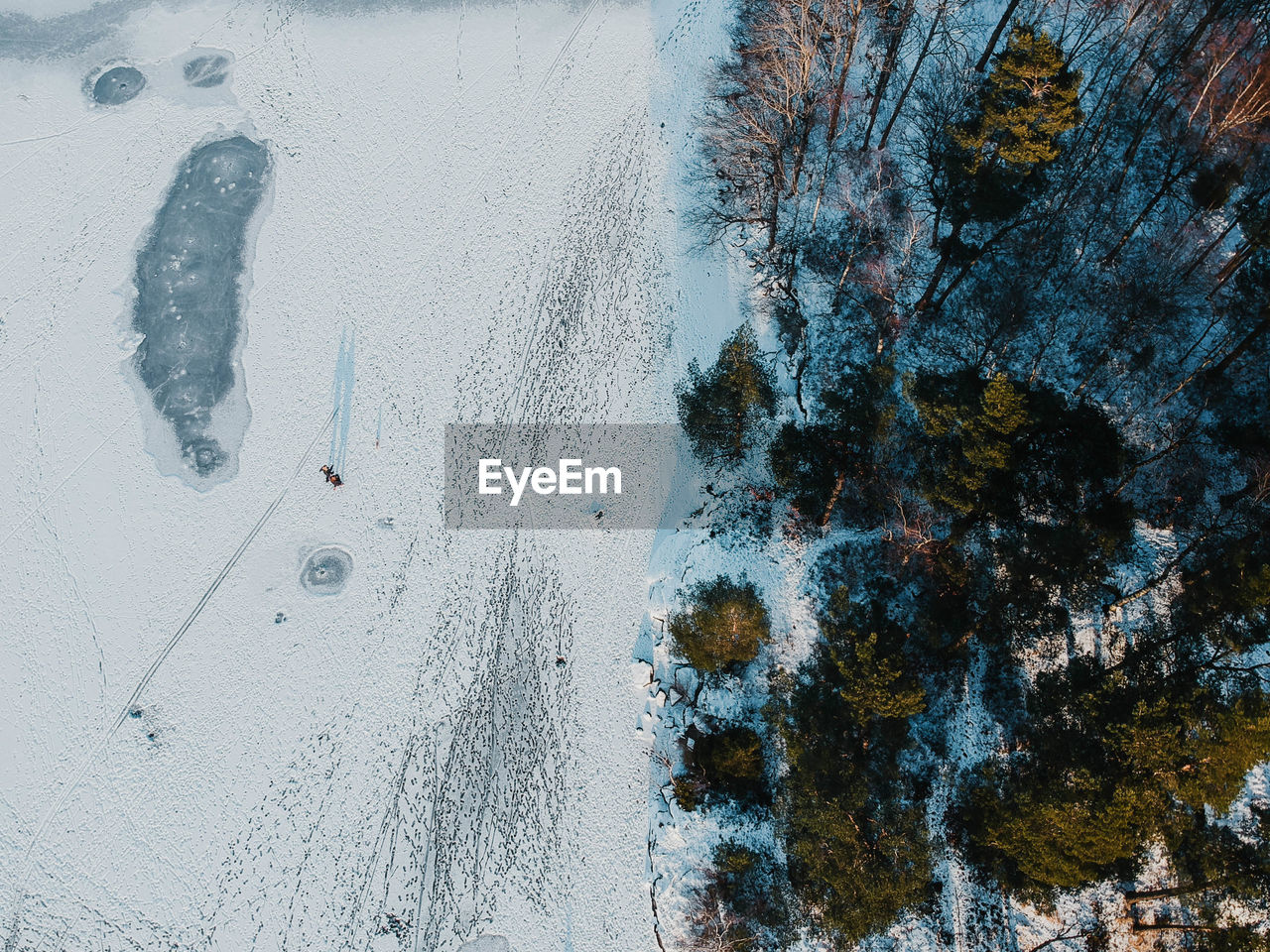 High angle view of snow covered trees next to lake