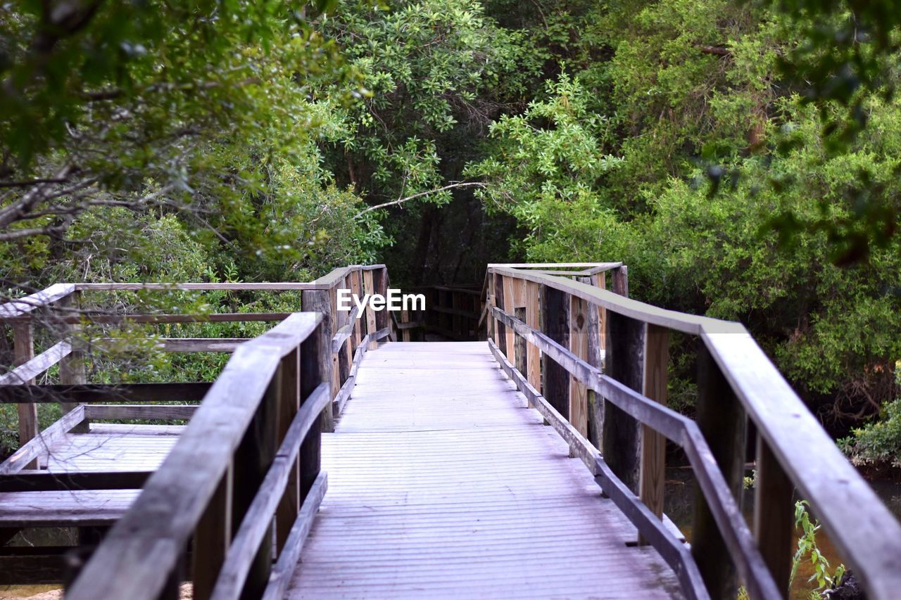 Wooden footbridge in forest