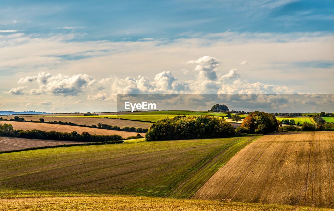 Scenic view of agricultural field against sky