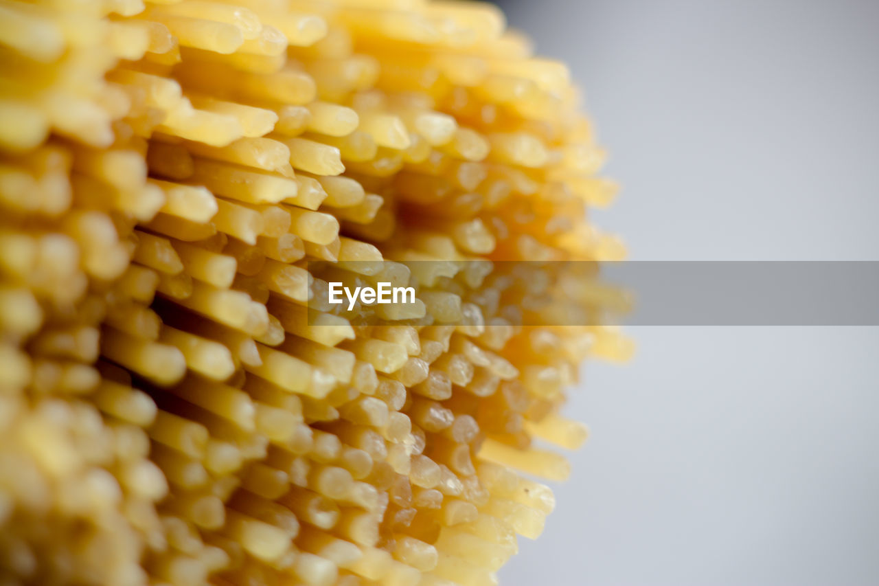 CLOSE-UP OF YELLOW CHILI PEPPER