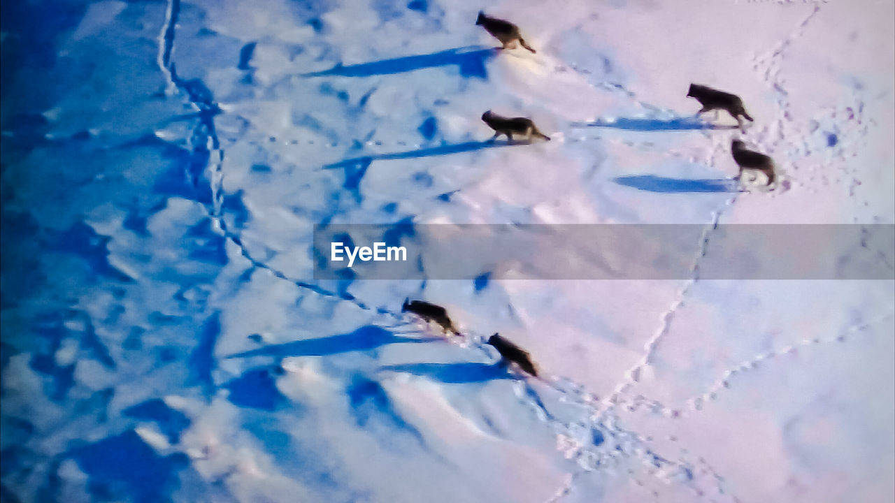 FULL FRAME SHOT OF SNOW ON FIELD AGAINST SKY