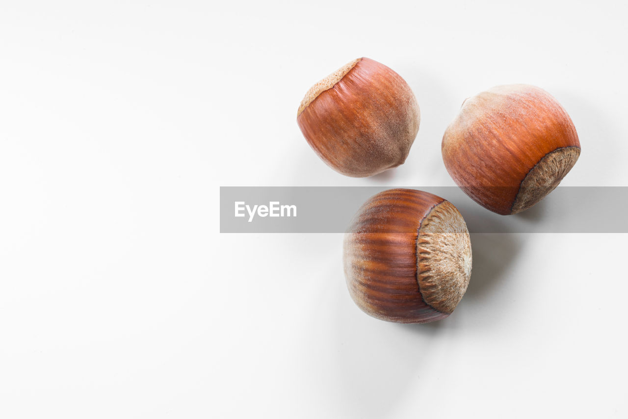 shell, white background, studio shot, mollusk, animal shell, no people, animal, food, food and drink, close-up, indoors, snail, still life, gastropod, group of objects, produce, animal wildlife, cockle, cut out, animal themes, nature, snails and slugs