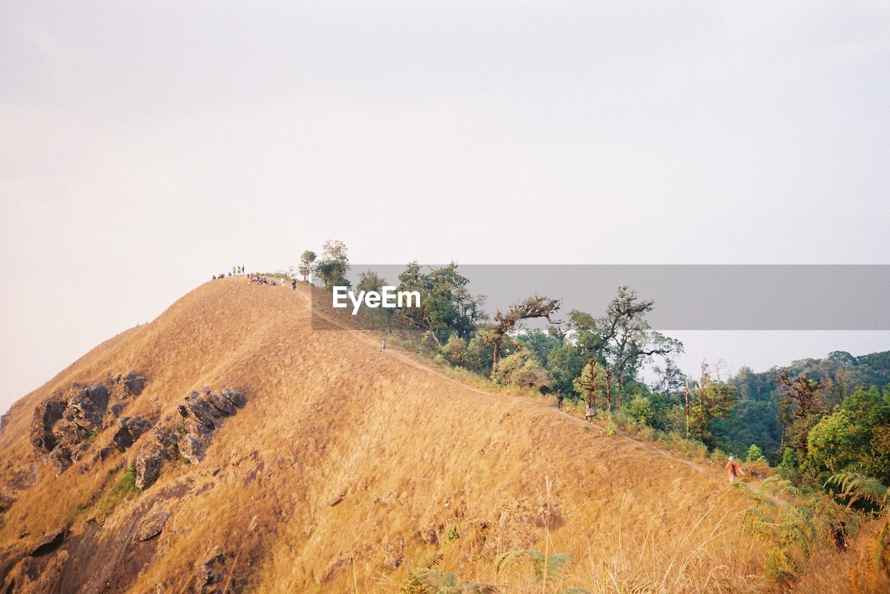 SCENIC VIEW OF LAND AGAINST SKY