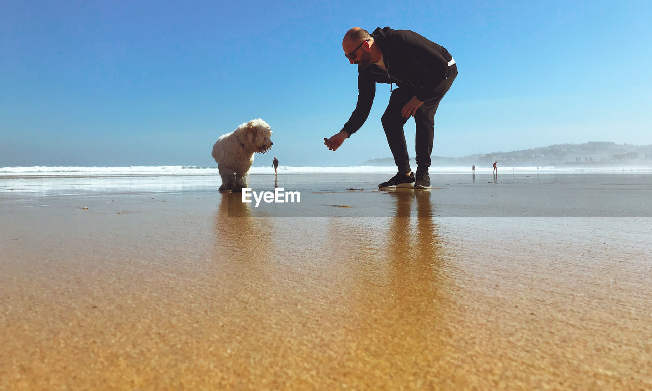 Men with dog on beach against sky