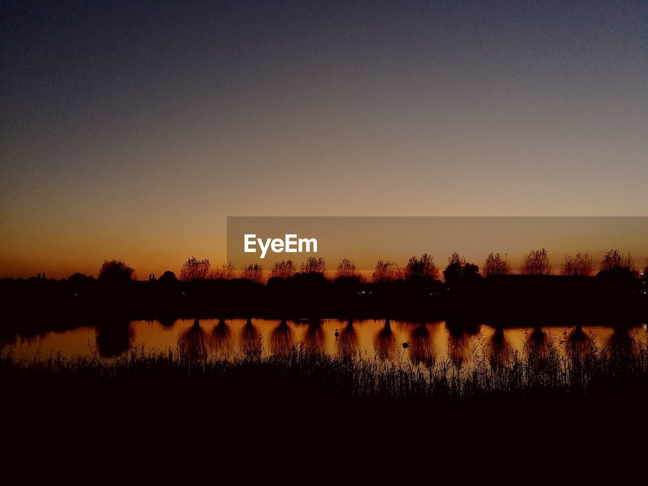 SILHOUETTE TREES BY LAKE AGAINST CLEAR SKY DURING SUNSET