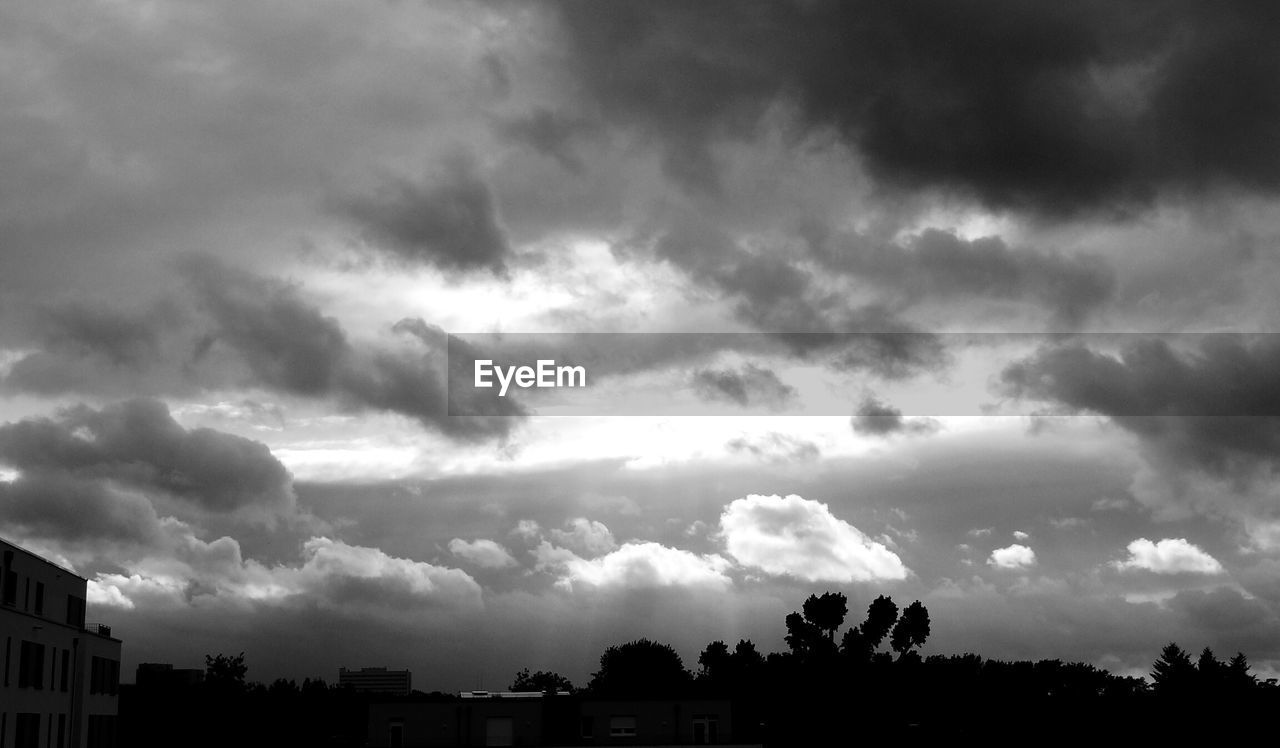 Low angle view of silhouette tree against the sky