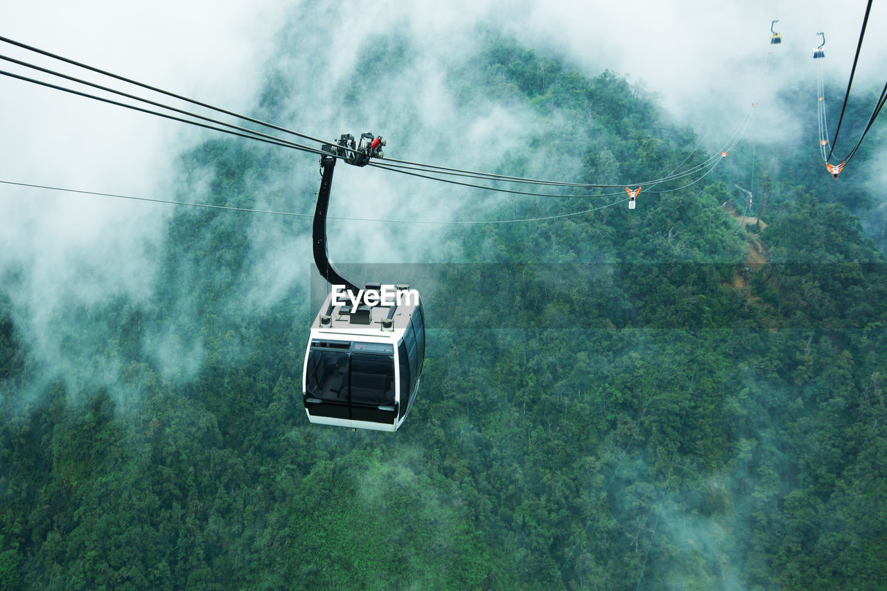 High angle view of overhead cable car against trees