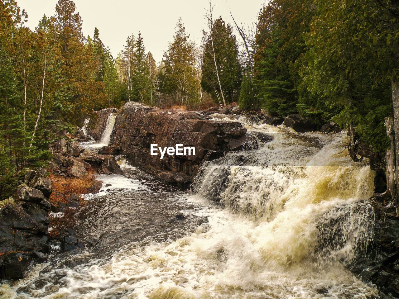 VIEW OF STREAM FLOWING THROUGH ROCKS IN FOREST