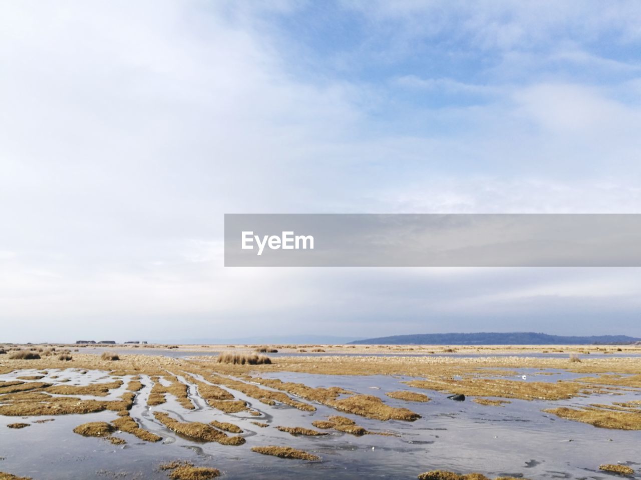 Scenic view of salt marsh against sky