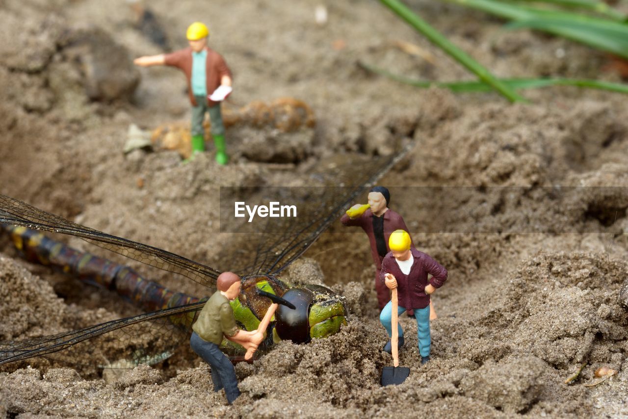 Close-up of worker figurines digging dead dragonfly on field