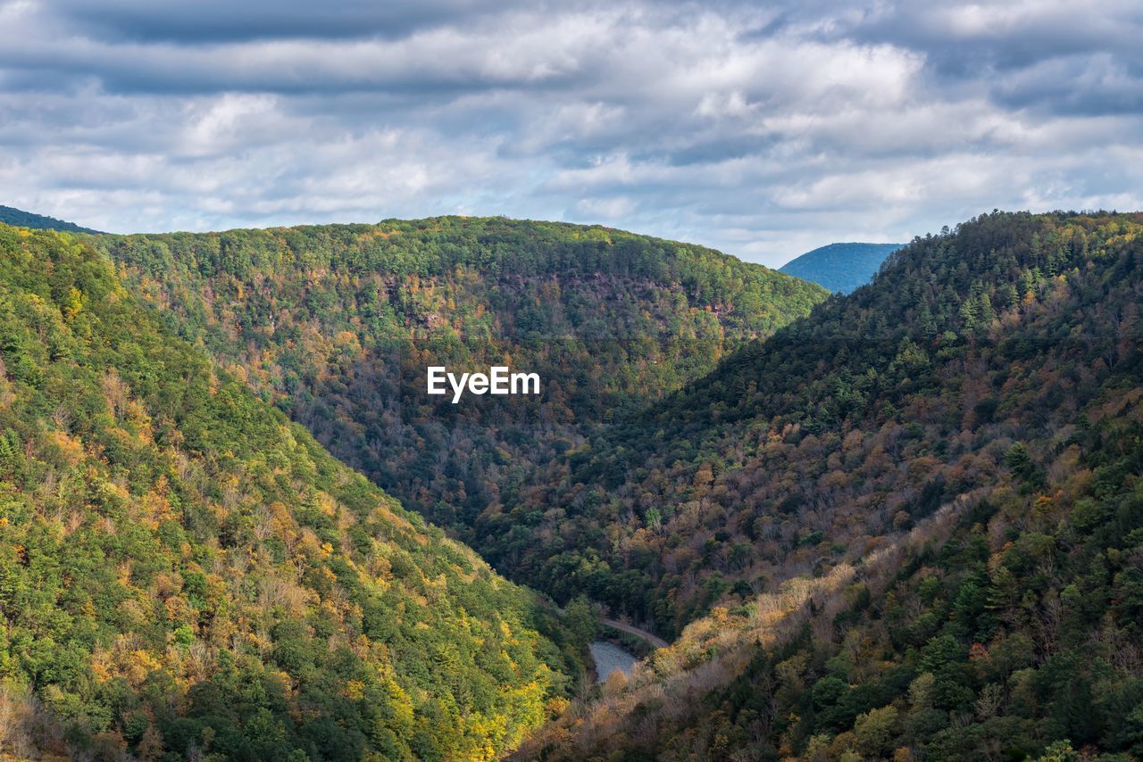 SCENIC VIEW OF MOUNTAIN AGAINST SKY