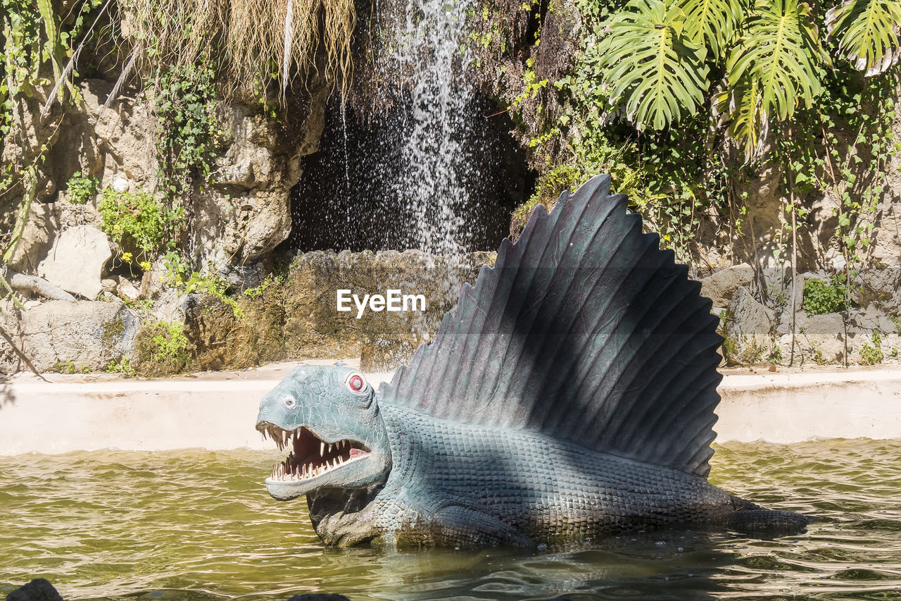 water, animal, animal themes, animal wildlife, nature, wildlife, mouth open, one animal, zoo, animal body part, no people, day, outdoors, hippopotamus, mammal, motion, beauty in nature, sea, tree, sunlight