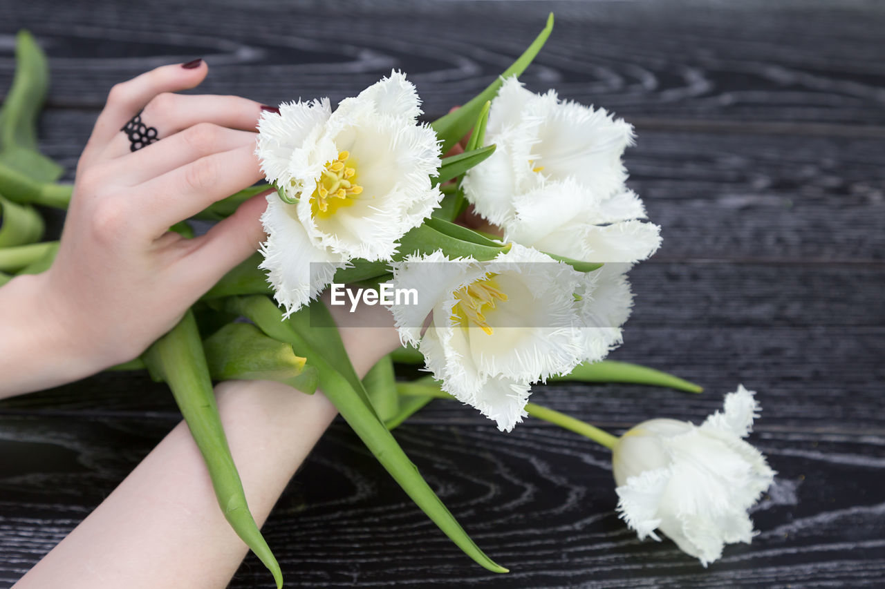 Cropped hands of woman holding white flowers on table