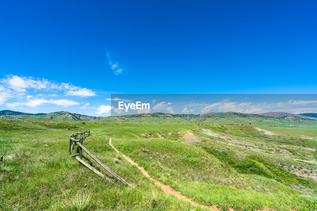 Scenic view of field against blue sky