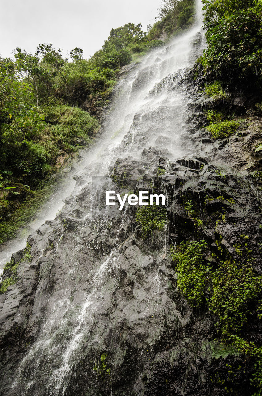 WATER FLOWING THROUGH ROCKS IN FOREST